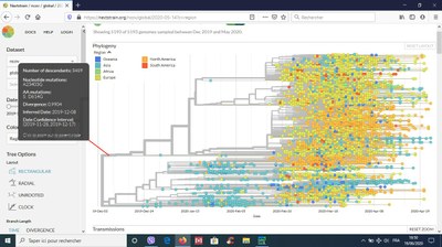 Données mondiales colorées par continent