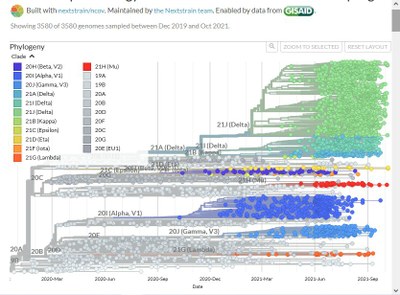 Nextstrain   Octobre 2021