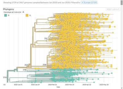 Séquences Europe colorées en fonction de aa 614