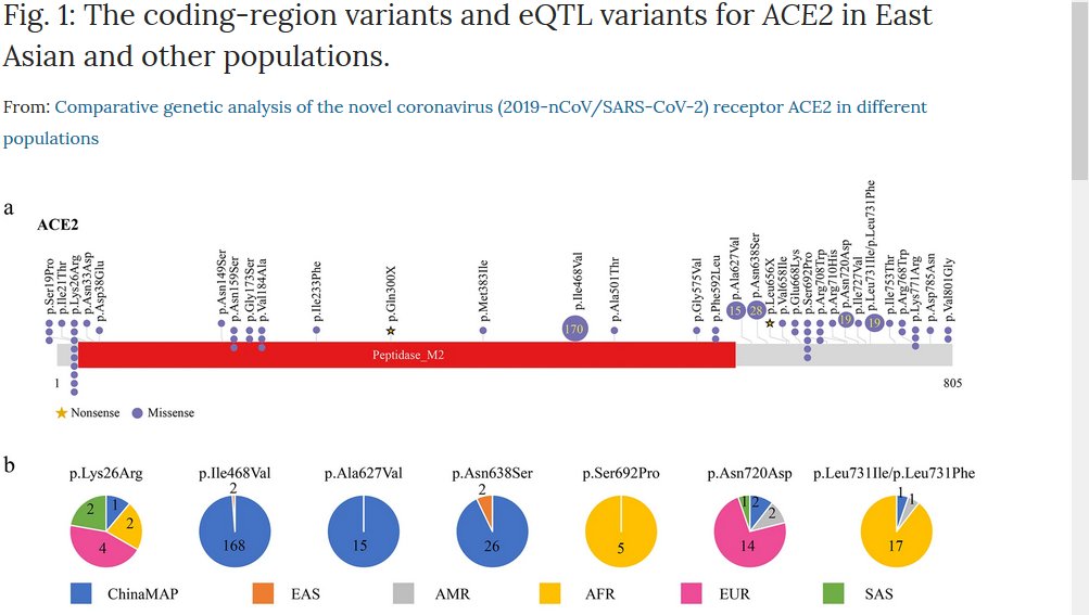 Fréquence mutations ACE2  Article Cao