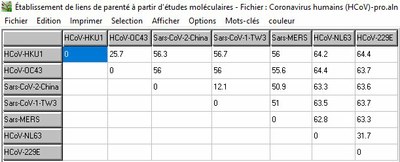 Matrice des distances   HCOV Pro
