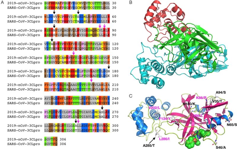 Morse Figure 5  3CLpro