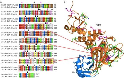 Morse Figure 6   PLPro