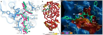 MPro NH3 NH1 Différentes espèces