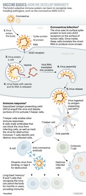 Nature 580 20 apr 2020