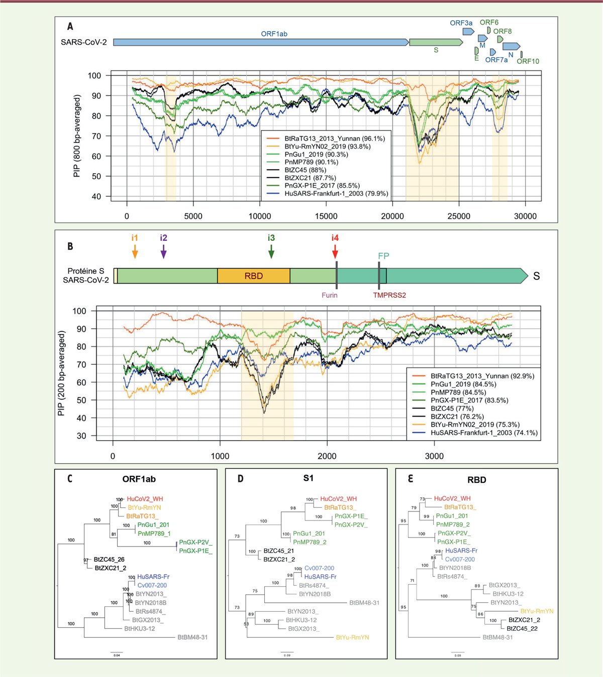 Image Medecine-Science.jpg