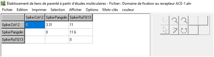 Matrice spike COV2 Pangolin RaTG13