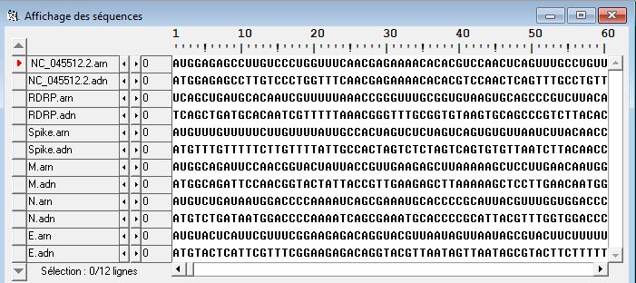 Anagène-CoV-2-ADN-ARN.jpg