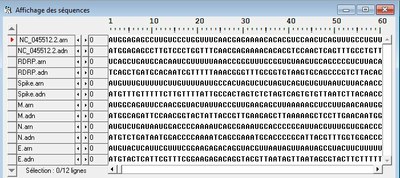 Anagène-CoV-2-ADN-ARN.jpg