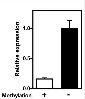 Expression relative Luciférase.jpg