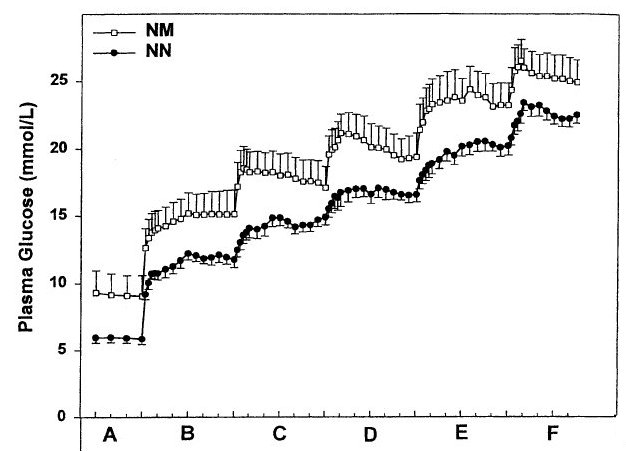 Clamp hyperglycémique-New.jpg