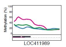Butineuses plus méthylées1.jpg