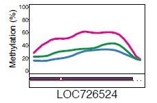 Butineuses plus méthylées2.jpg