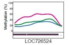 Butineuses plus méthylées2.jpg