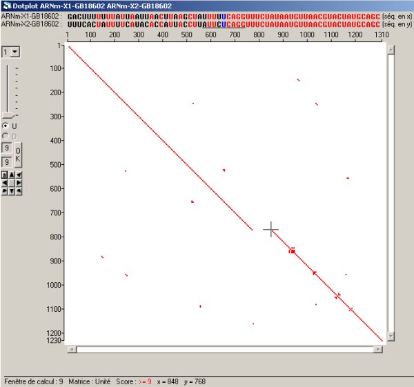 DotPlot ARNm X1 et X.jpg