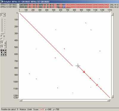 DotPlot ARNm X1 et X.jpg