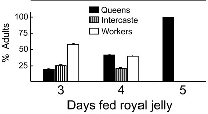 effets nutrition.jpg