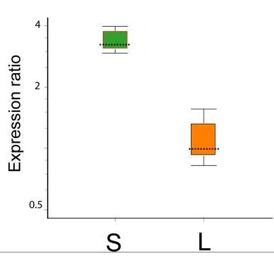 Expression ratio.jpg