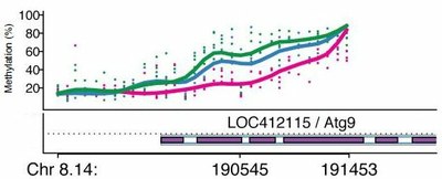 Nourrices plus méthylées2.jpg