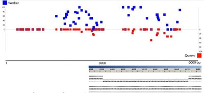 Position CpG méthylés - épissage-New.jpg