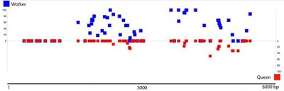 Position CpG méthylés GB18602.jpg