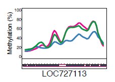 Reconverties comme butineuses.jpg