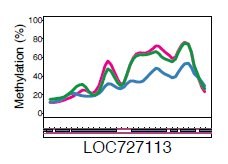 Reconverties comme butineuses.jpg