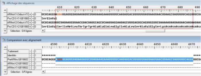 retention d'intron-Bis.jpg