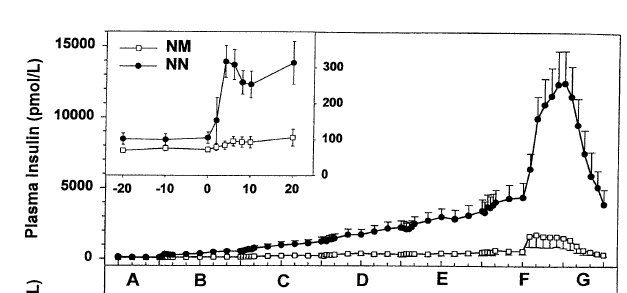 Insulinémie Clamp.jpg