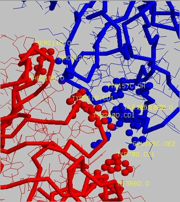 7URV PDB Liaisons Bis