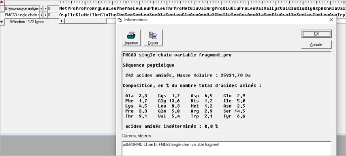 FMC63 -Lymphocyte B antigene.jpg