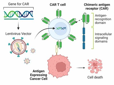 Origine des cellules CAR T d’une immunothérapie