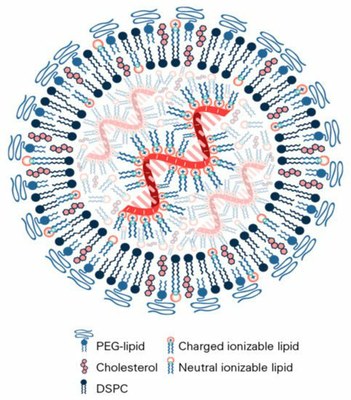 1d   Aspect et structure d’une nanoparticule d’un vaccin à ARN messager anti covid 19