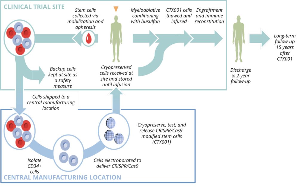 Etapes de la thérapie Frangoul