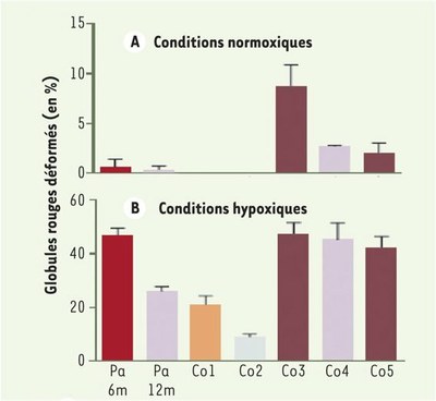 Taux de globules rouges falciformes bis