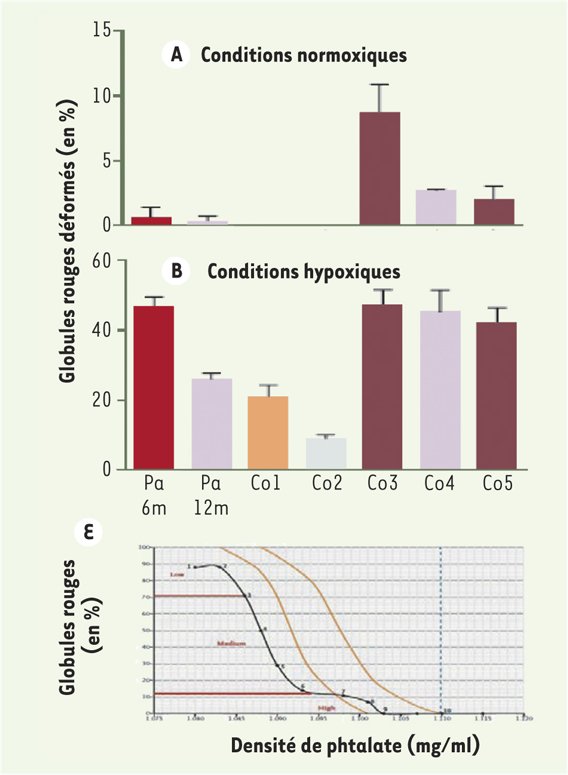 Taux de globules rouges falciformes