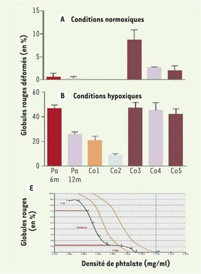 Taux de globules rouges falciformes