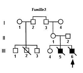 Noguchi-Famille3.jpg