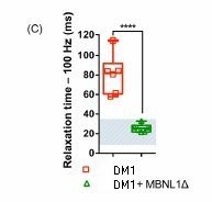 Arandel-Image 6-C.jpg