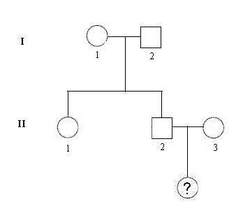 Arbre famille DM1.jpg