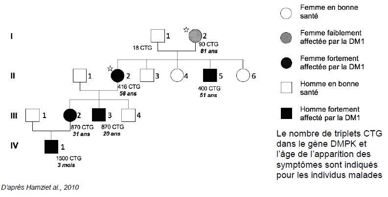 DMPK-Famille originale.jpg