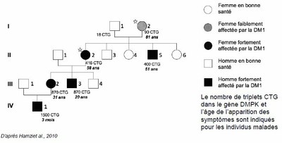 DMPK-Famille originale.jpg