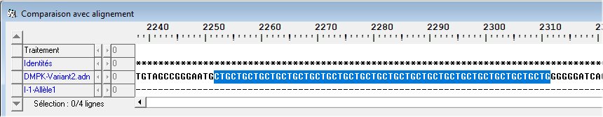 Répétitions dans l'allèle1.jpg
