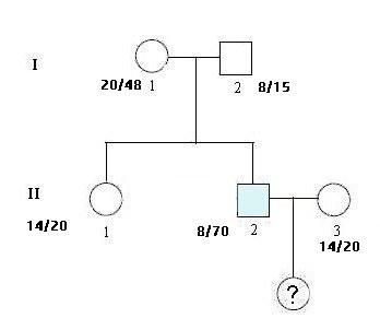 Arbre famille DM1 Ombré Avec nombre CTG