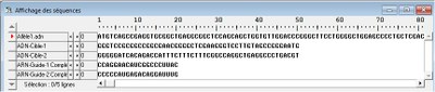 Capture ADN Cible et ARN Guide
