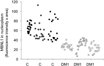 Document 5  Concentrations