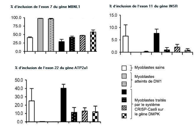 Image du sujet du Bac bis