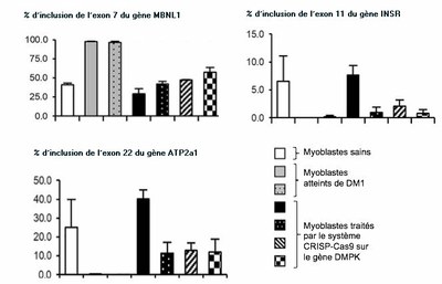 Image du sujet du Bac bis