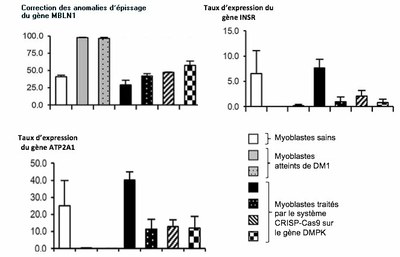 Image du sujet du Bac