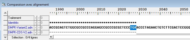 Position stop dans variant2